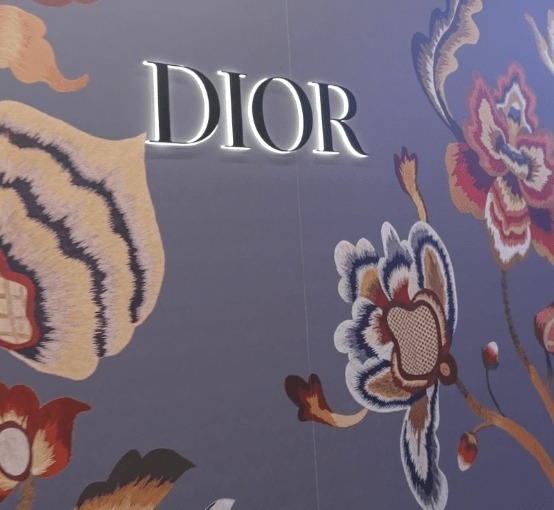 Dior fashion reel history