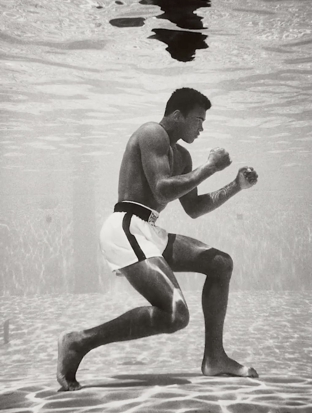 phillips photograph sale